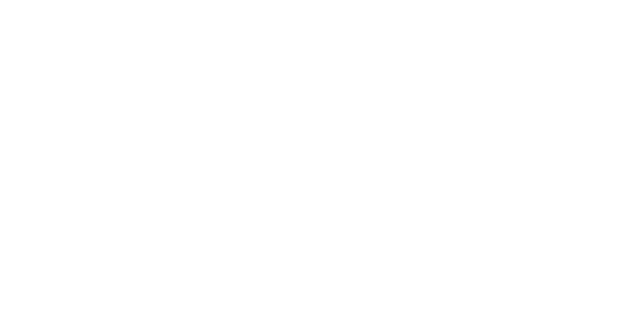 Southern Methodist University